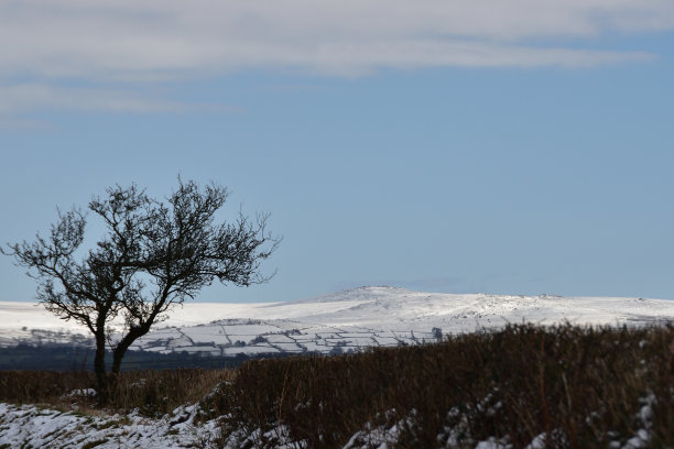 博德明摩尔图片下载
