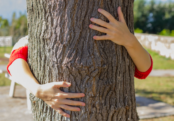 双手抱着一棵树。纹理图片下载