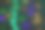 彩色的散景，动物的足迹图片下载