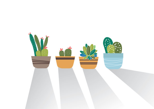 盆中仙人掌孤立在白色背景上图片下载