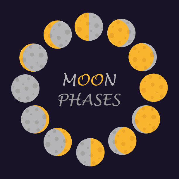 矢量可爱的月相。所有的月相都在一张图片上。图片下载