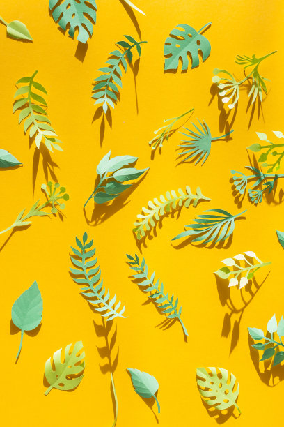 阳光照在黄色的背景上，热带树叶从纸上剪下来。夏天的概念图片下载