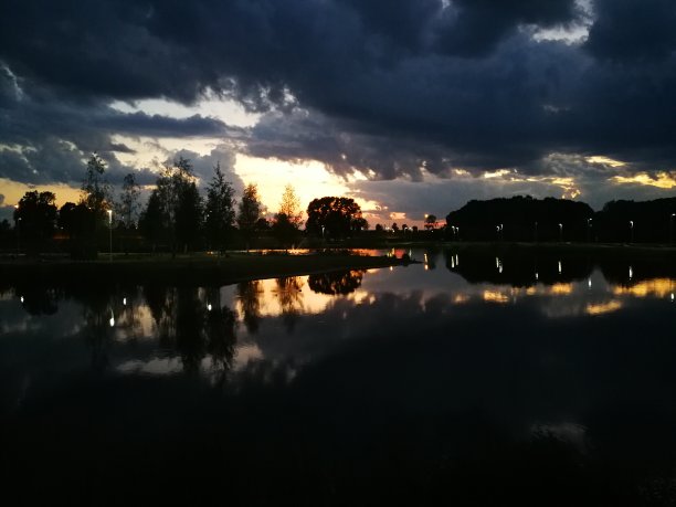 在暮色中倒映在湖中的树木图片下载