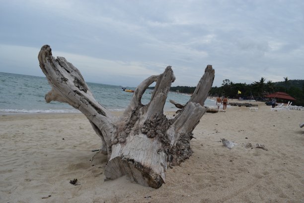 苏梅岛的拉迈海滩图片下载