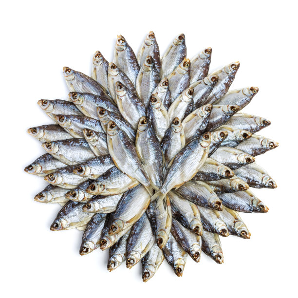一大堆晒干的咸味海强在白色的背景上以圆圈的形式摆放着。俯视图图片下载