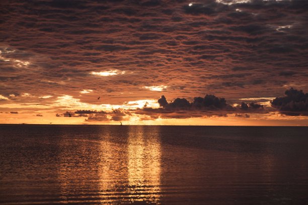 海边的日落。图片下载