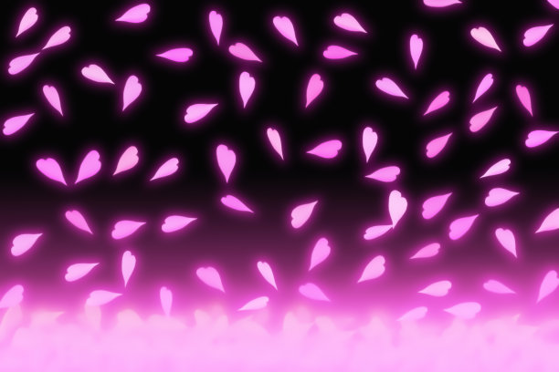 樱花的花瓣。图片下载