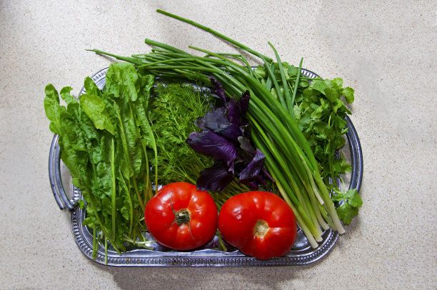 银托盘上放两颗西红柿，莳萝，香菜，罗勒和大葱图片下载