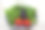 银托盘上放两颗西红柿，莳萝，香菜，罗勒和大葱图片下载