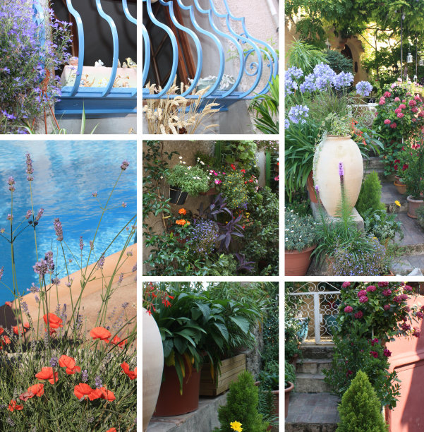 普罗旺斯法国里维埃拉在盛开的游泳池度假胜地图片下载