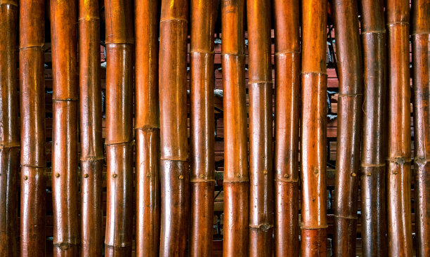 明亮的竹子背景。竹树干的照片。乡村木制屏幕。棕竹装饰墙。图片下载