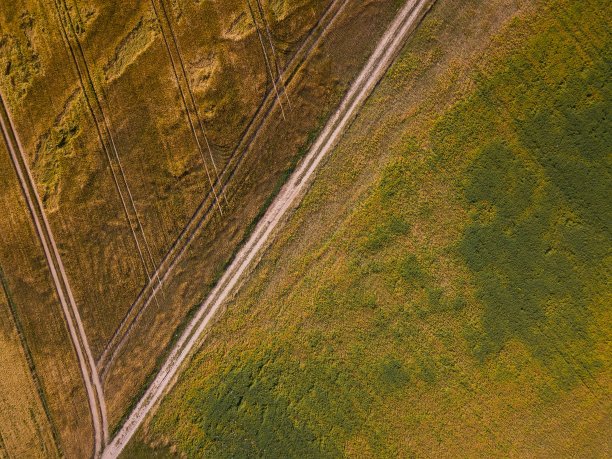 从上面看，美丽的夏日田野图片下载