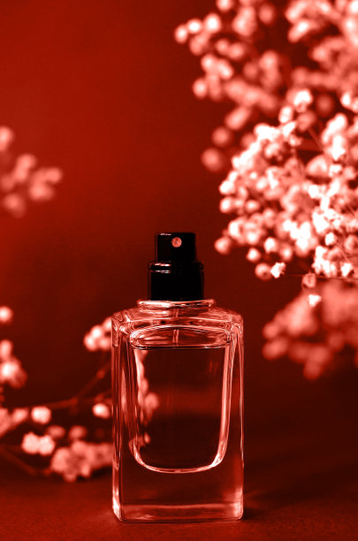 香水瓶与石膏围绕珊瑚色。图片下载