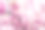 樱花图片素材ID：331306416