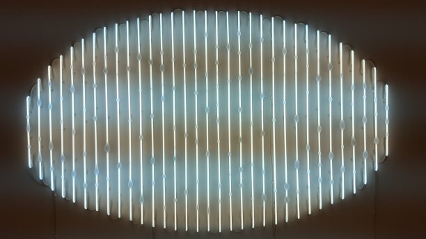 垂直的日光灯图片下载