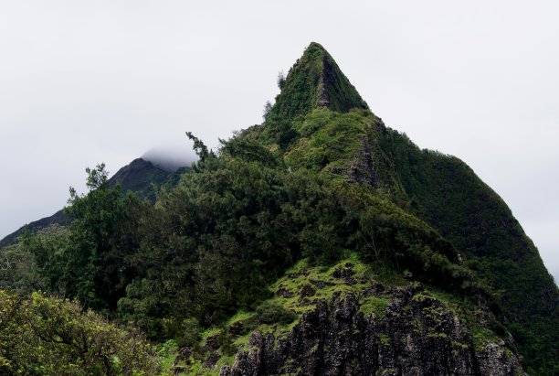 瓦胡岛郁郁葱葱的科奥劳山脉的迷雾山脊图片下载