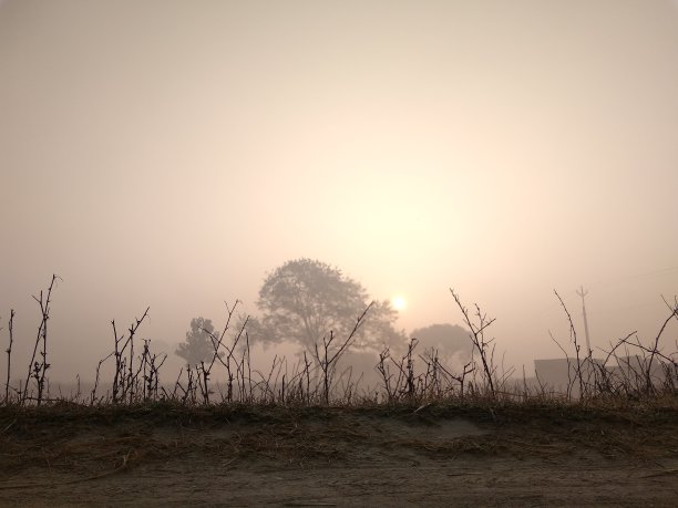 神奇的日出图片下载