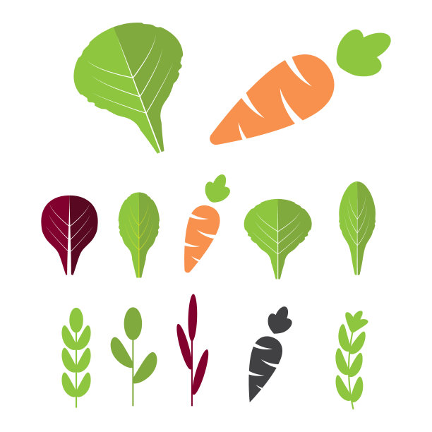 沙拉的配料是胡萝卜。叶蔬菜与胡萝卜平图标设置。有机和素食，琉璃苣和菊苣。图片下载