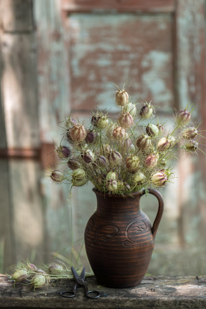 水壶用鲜花图片下载