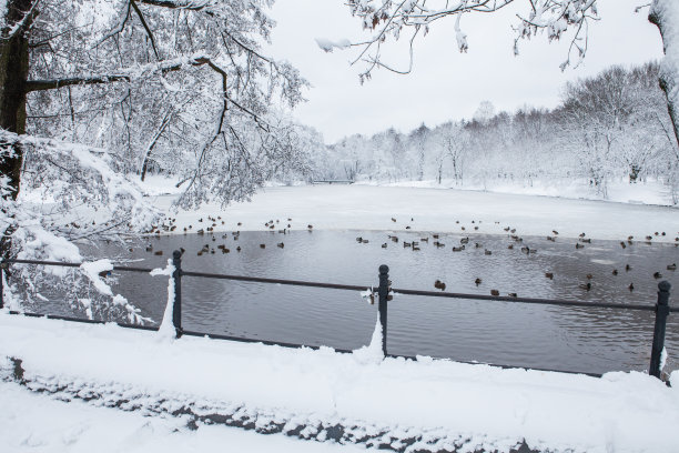 冬季在亚当米凯维奇公园Łódź，波兰图片下载