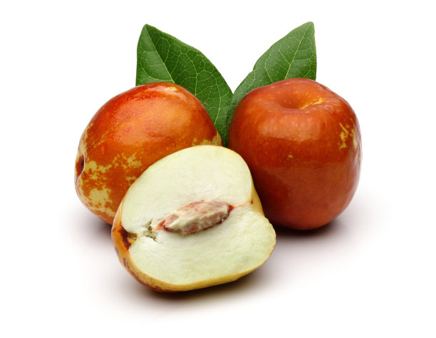 白底上是鲜嫩的枣叶图片下载