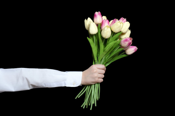 手里拿着一束白色的郁金香。孤立在黑色背景上。图片下载