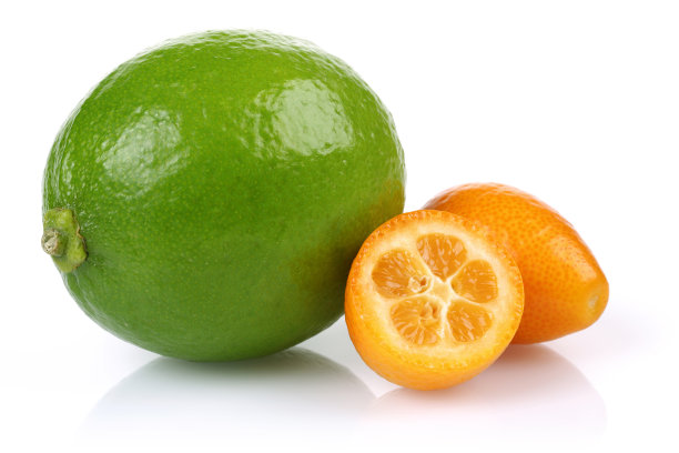 白色背景上有新鲜的金橘和酸橙图片下载