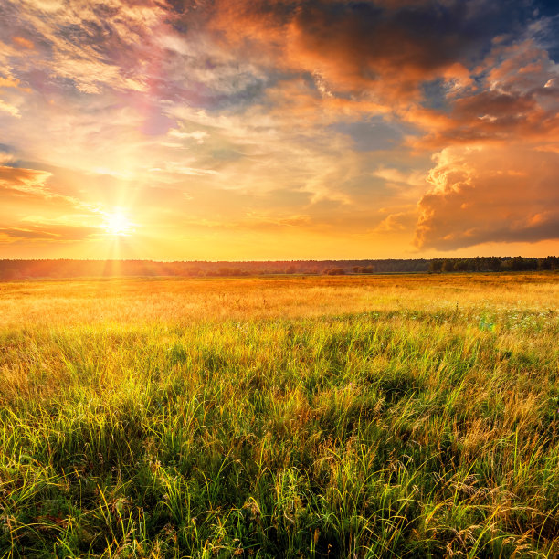 日落景观与平原和森林图片下载