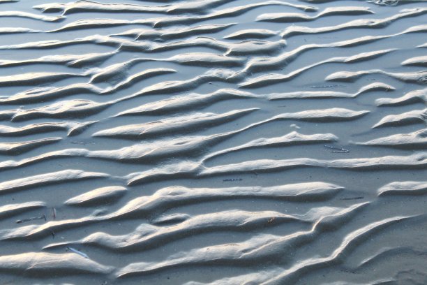 北海海滩上的沙子照片，位于丹麦的哈诺岛附近图片下载