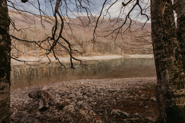 在黑山的Biogradsko湖上的秋天森林反射-图片图片下载