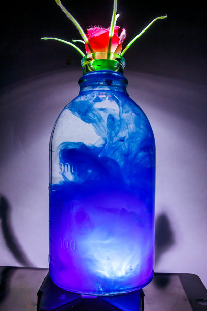 这是一个透明花瓶的艺术照片，里面有一株植物，有清水和蓝色的墨水图片下载