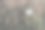 房子的篱笆+照顾狗图片下载