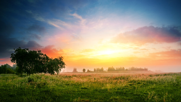 日落景观与树木图片下载