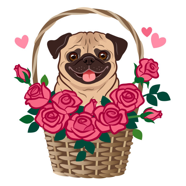 可爱巴哥犬坐玫瑰花篮卡通矢量插画，适用于宠物、爱情、友谊、感谢、浪漫、约会、情人节、生日主题贺卡素材图片