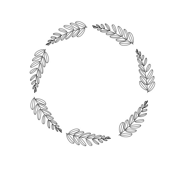 矢量插图。孤立于白色上的植物、花或分枝的叶。装饰花卉植物圆元素。植物的模式。图片下载