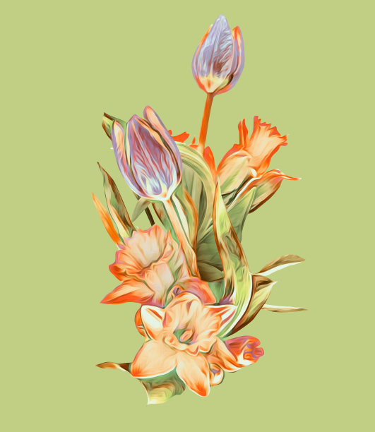 春天的花，郁金香和水仙花，图案。图片下载