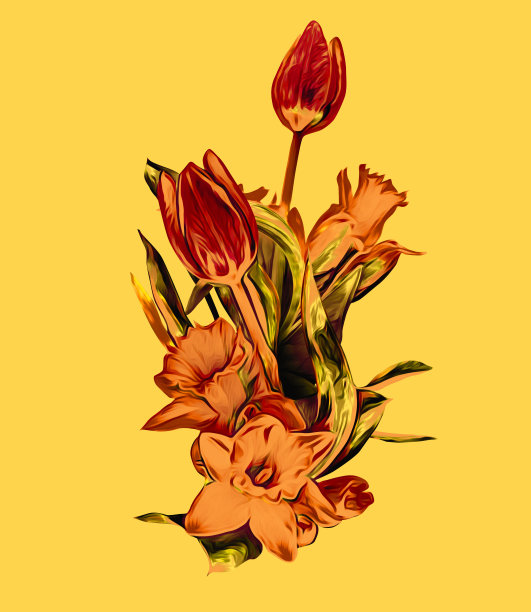 春天的花，郁金香和水仙花，图案。图片下载