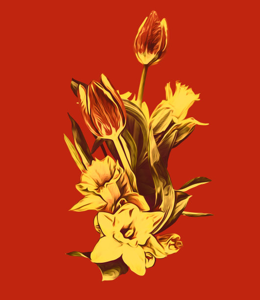 春天的花，郁金香和水仙花，图案。图片下载