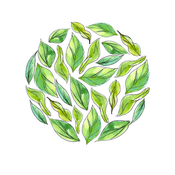 水彩手绘的叶子在一个圆圈的形状。图片下载