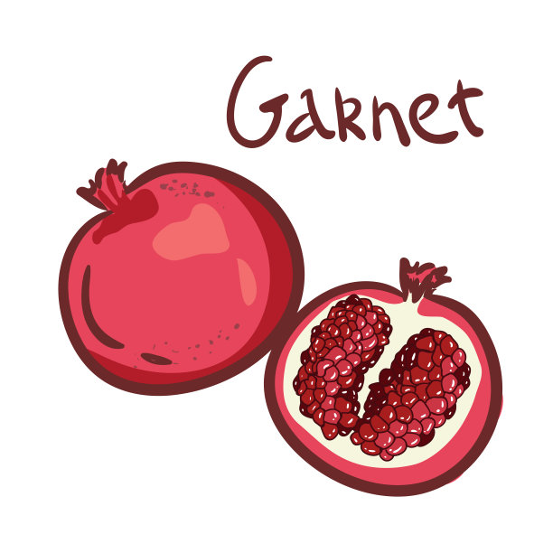 全石榴和半石榴带籽。矢量彩色图标插图菜单，海报。孤立在白色背景上。画的迹象。适用于标识传单，卡片，海报，印刷品，菜单图片下载