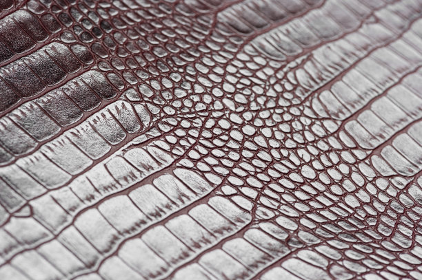 鳄鱼皮革样本图片下载