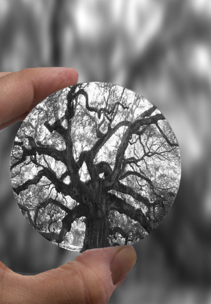 水晶球图片下载