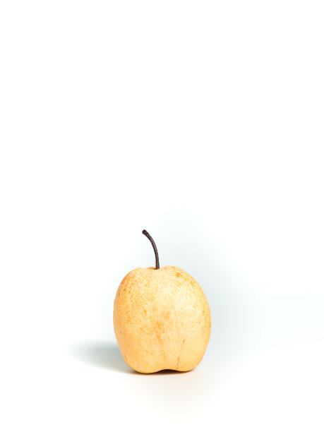 中国梨图片下载