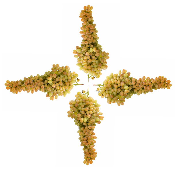 白色背景下成熟的大串葡萄干图片下载