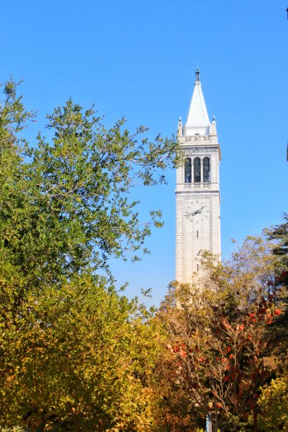 加州大学伯克利分校秋色斑斓的树木;背景是萨瑟塔(Campanile)图片下载