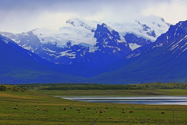 阿根廷湖和雪山- El Calafate，巴塔哥尼亚阿根廷图片下载