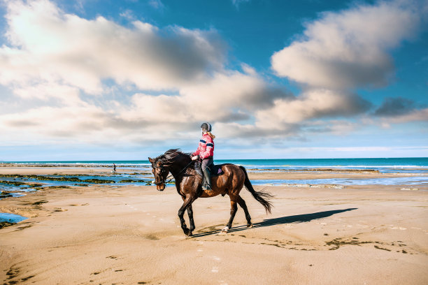 海滩上漂亮的骑手图片下载