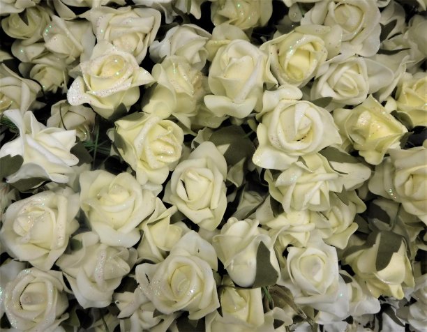 白玫瑰之床图片下载