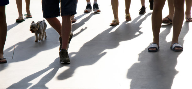 人们的腿和狗在夏天散步图片下载