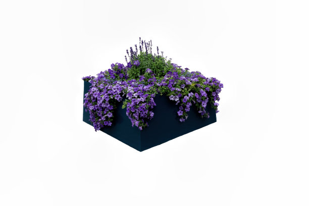 城市花盆图片下载